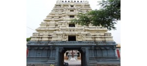 49. திருவடகுரங்காடுதுறை